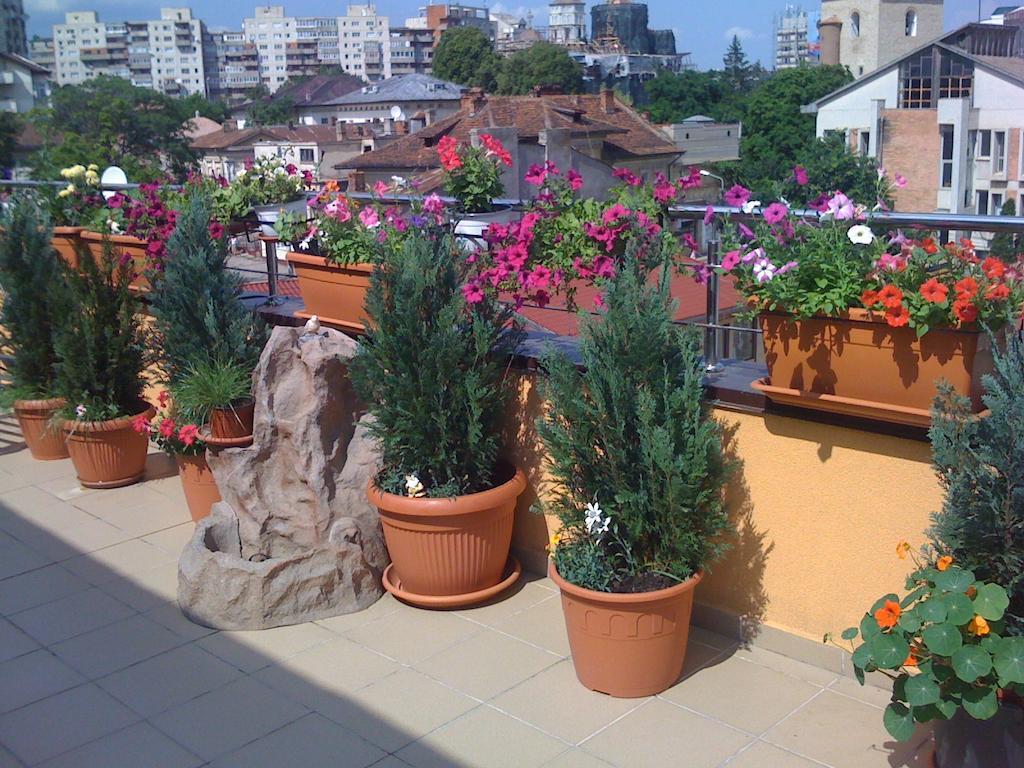 Penthouse City Centre Apartment Iasi Bagian luar foto